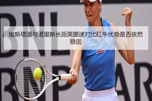 维斯塔潘与诺里斯长距离圈速对比红牛优势是否依然稳固